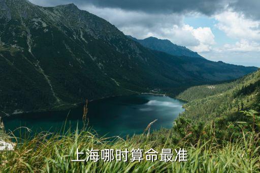 上海市占卜課程整治，上海哪里有算命的