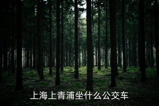 青浦至上海市商務委怎么乘公車，上海上青浦坐什么公交車