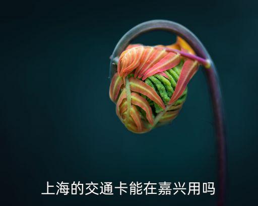 上海市公交卡在嘉興用，上海的交通卡能在嘉興用嗎