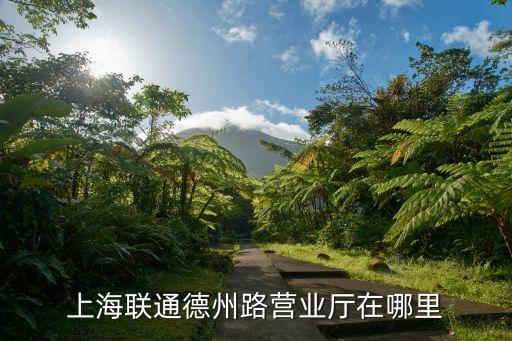 上海市浦東德州路328號，上海聯通德州路營業廳在哪里