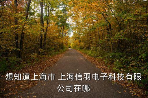 想知道上海市 上海信羽電子科技有限公司在哪