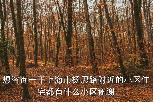 想咨詢一下上海市楊思路附近的小區(qū)住宅都有什么小區(qū)謝謝