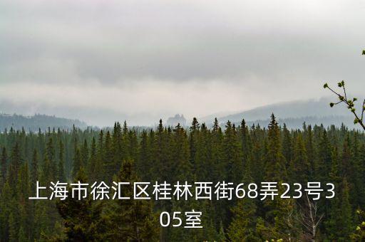 上海市徐匯區桂林西街68弄23號305室