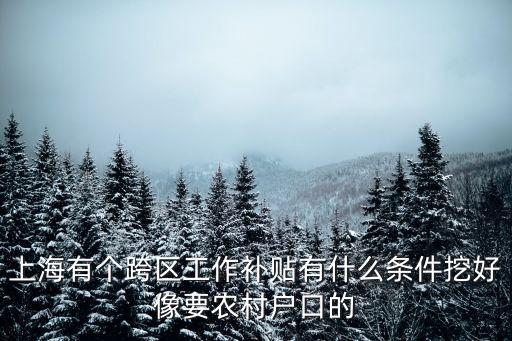 上海市跨地區補貼怎么算，上海有個跨區工作補貼有什么條件挖好像要農村戶口的