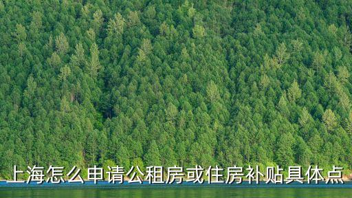 上海怎么申請公租房或住房補貼具體點