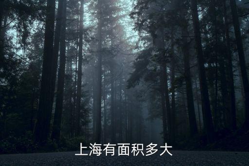 上海市占地面積約是什么，上海有多大