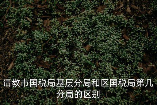 上海市各區稅務機關對比，上海都有哪些稅務局九亭歸哪個稅務局管