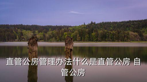 直管公房管理辦法什么是直管公房 自管公房