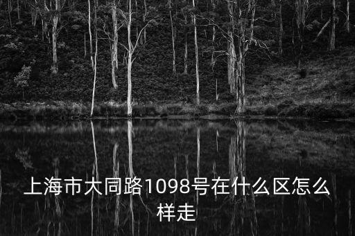 上海市大同路在哪個區，上海市大同路1098號在什么區怎么樣走