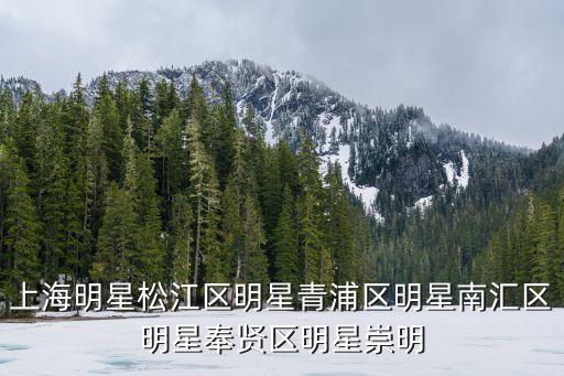 上海市晶彩名人，求上海地區的愛國名人