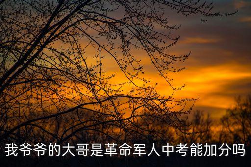 我爺爺的大哥是革命軍人中考能加分嗎