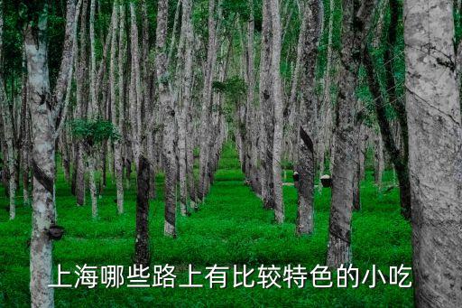 上海市江浦路有哪些特色，上海哪些路上有比較特色的小吃