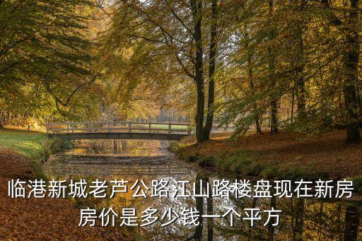 上海市臨港新區 房價，臨港新城老蘆公路江山路樓盤現在新房房價是多少錢一個平方
