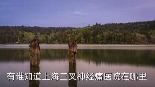 有誰知道上海三叉神經痛醫院在哪里