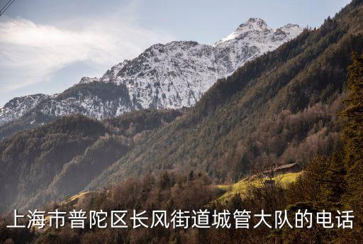 上海市普陀區(qū)長風街道城管大隊的電話