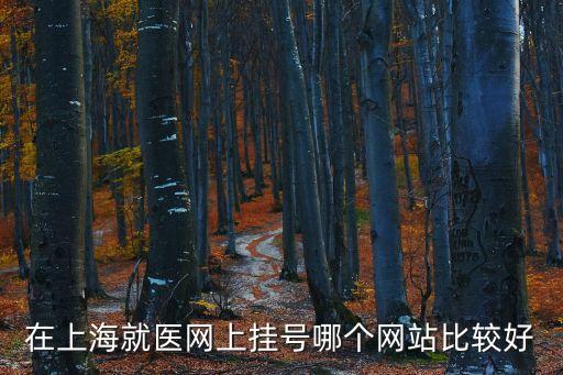 上海市掛號網上預約平臺，上海三甲醫院 怎樣網上預約掛號