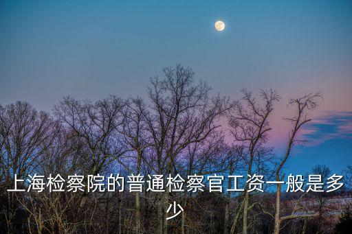 上海檢察院的普通檢察官工資一般是多少