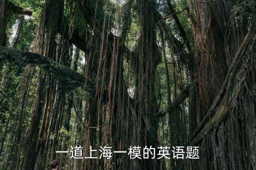 一道上海一模的英語題