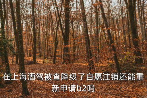 上海市醉駕吊銷駕照可以學b2嗎，飲酒駕車注銷六個能考B2照嘛