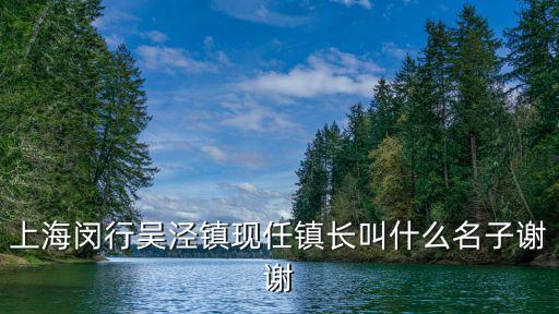 上海市閔行區經委副書記，上海閔行區的扛把子是誰啊