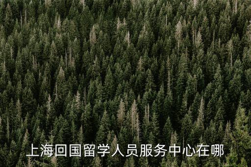 123上海市，上海回國留學(xué)人員服務(wù)中心在哪