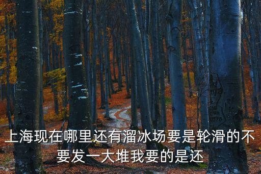 上海現在哪里還有溜冰場要是輪滑的不要發(fā)一大堆我要的是還