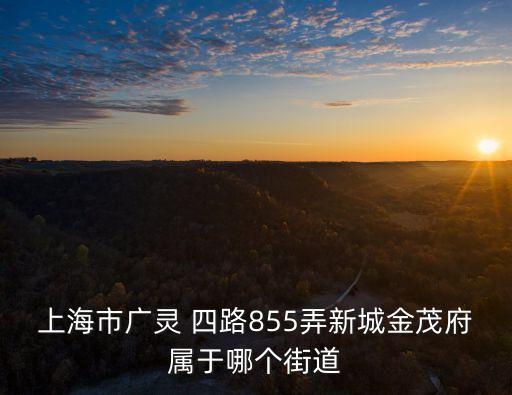 上海市廣靈 四路855弄新城金茂府屬于哪個街道