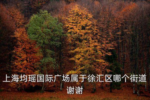 上海市徐匯區(qū)均瑤國際大廈，請問上海南站到徐匯區(qū)肇嘉浜路789號均瑤國際怎么走