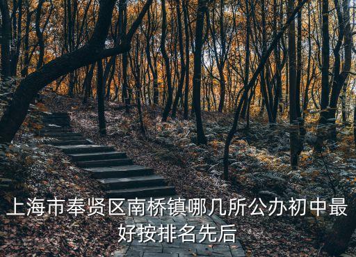 上海市奉賢區南橋鎮哪幾所公辦初中最好按排名先后