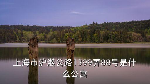 上海上海市青年城，離上海火車站挺近的那個人才市場叫什么名字