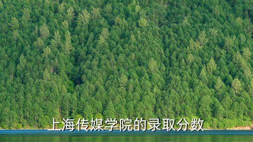 上海市傳媒學院，上海傳媒學院的錄取分數