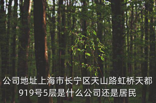 公司地址上海市長(zhǎng)寧區(qū)天山路虹橋天都919號(hào)5層是什么公司還是居民