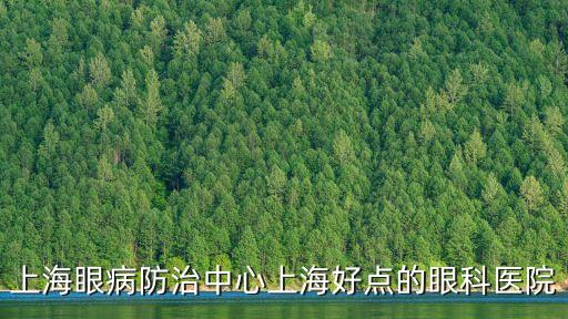 上海眼病防治中心上海好點的眼科醫院