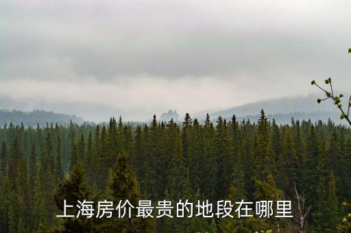 上海房?jī)r(jià)最貴的地段在哪里