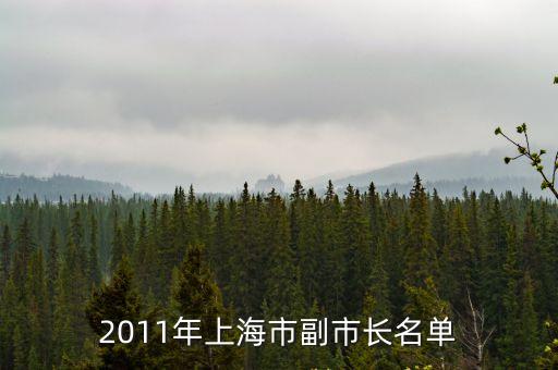 2011年上海市副市長名單