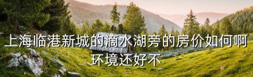 上海市臨港房價價格，上海臨港新城的滴水湖旁的房價如何啊環境還好不