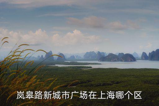 嵐皋路新城市廣場在上海哪個區