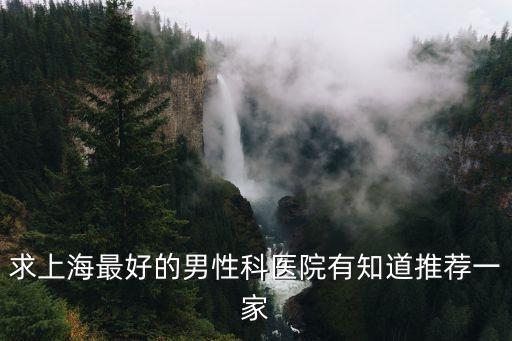 求上海最好的男性科醫院有知道推薦一家