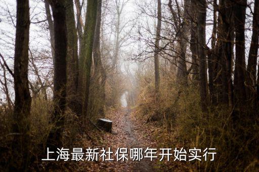 上海最新社保哪年開始實行