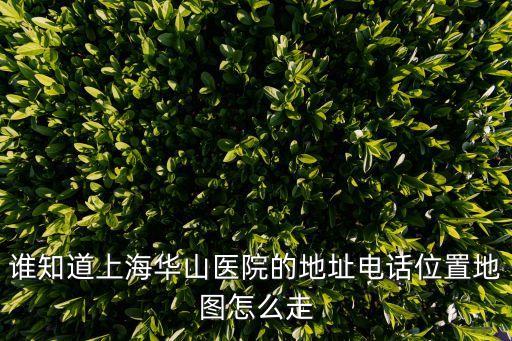 上海市永寧路113號，上海市華山醫(yī)院地址