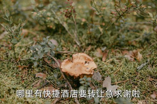 上海市旅店轉讓信息，上海賓館轉讓除了58另外還有網站嗎
