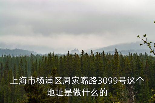 上海市周家嚼路，上海周家嘴路屬于哪個區