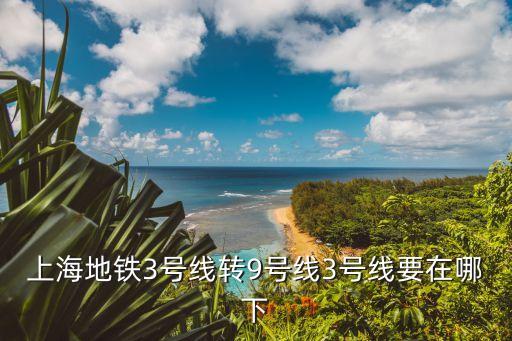 上海市地鐵3號線換乘9號線地鐵站，上海地鐵3號線換乘9號線