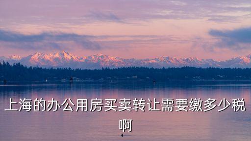 上海市買辦公房屋，上海市區(qū)的寫字樓哪里的比較好