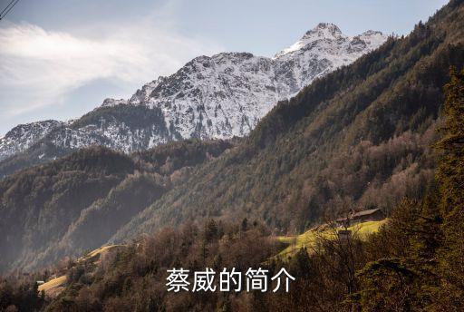 上海市歷任政協(xié)主席副主席，蔡威的簡介