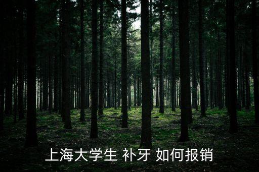 上海市學生口腔健康管理卡怎么填寫，口腔健康檔案如何建立