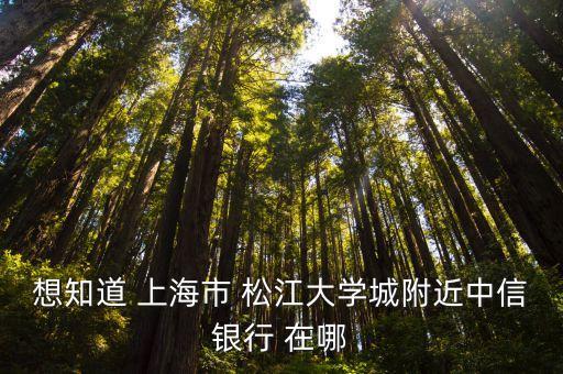 想知道 上海市 松江大學城附近中信銀行 在哪