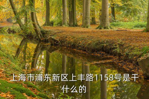 上海市大學生平安志愿者團隊，上海平安保險