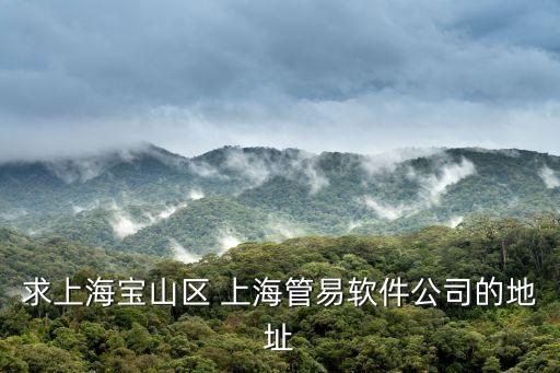 求上海寶山區(qū) 上海管易軟件公司的地址