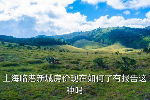 上海市臨港房價房價，上海臨港新城的滴水湖旁的房價如何啊環境還好不